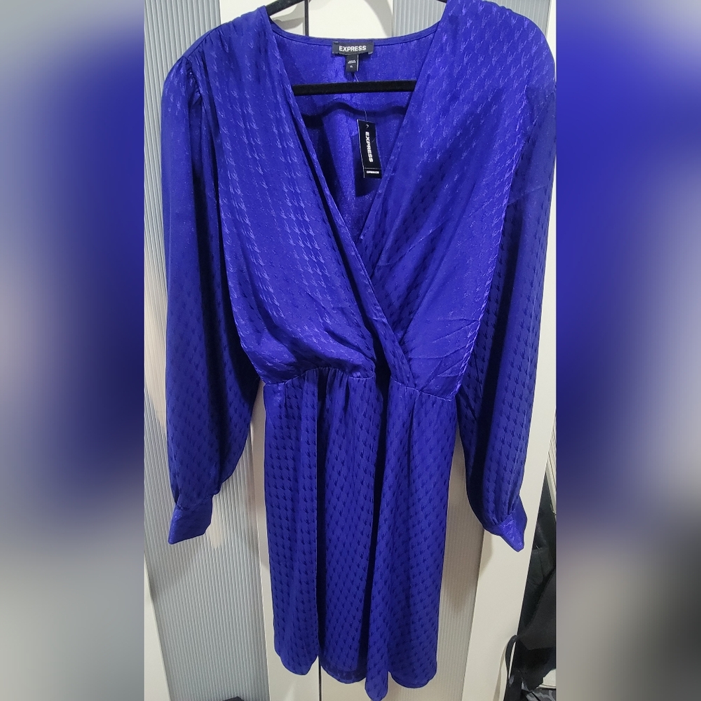EXPRESS Dress